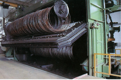 盘圆线材抛丸清理机